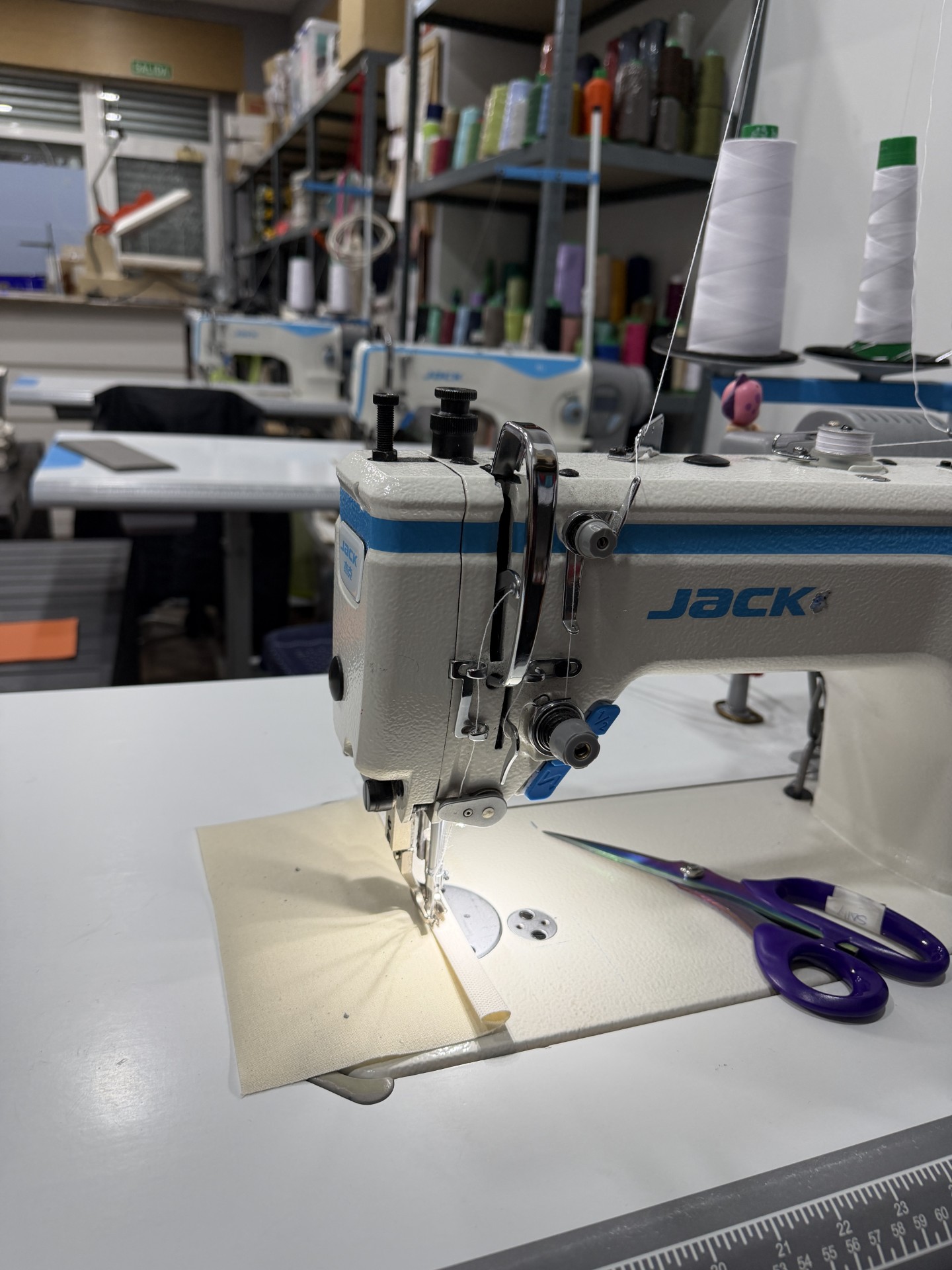 76d47955-4c8a-4147-96da-0181f29c34b1